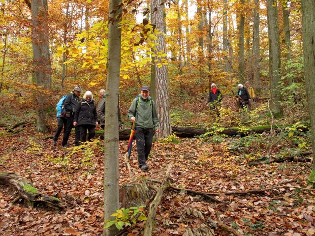 Die Freunde des Waldes sind eben auch handwerklich engagiert und können nochmal ganz anders beurteilen, welche Kreativität hinter solchen Bauwerken steht.