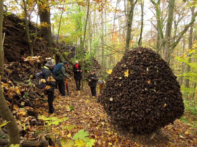 Nach und nach kommen die Wanderer den steilen Anstieg herauf.
