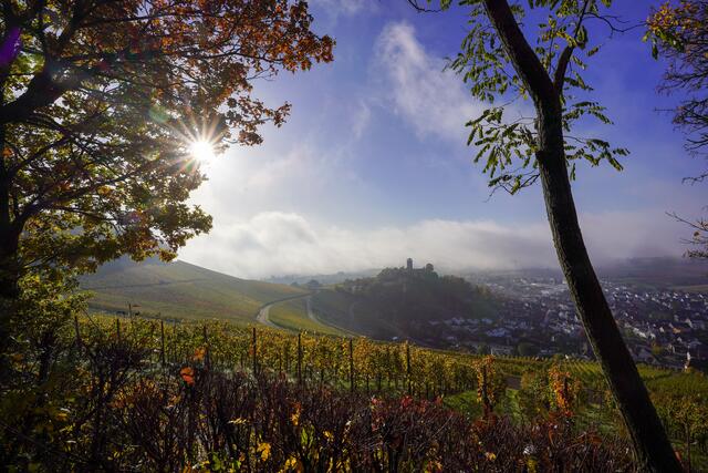 Nebelstimmung über der Burgruine Hohenbeilstein
