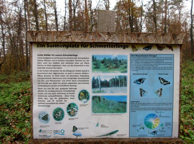 Auf dieser Wiese stand bis 2011 das Annaseehaus der Sontheimer Naturfreunde.