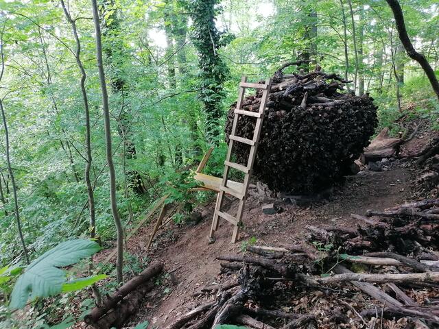 Es galt also auch eine Leiter zu bauen, die auf einer Seite einen verlängerten Holmen hat und diesen so abzusichern, dass die Konstruktion nicht abrutscht. | Foto: Klaus Waldbüßer