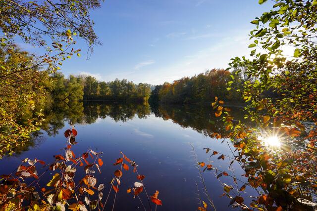 Sonniger Herbsttag am Seeloch in Lauffen