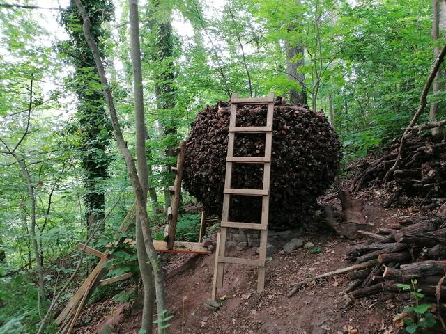 Die Reben mussten abgesägt werden und um den Durchmesser des Kunstwerkes herzustellen, behalf sich Klaus mit langen Eichenästen um die Verbindung herzustellen. Auch Steine wurden innen verwendet um den Druck auf die Reben zu erhöhen, damit sie zusammen halten. | Foto: Klaus Waldbüßer