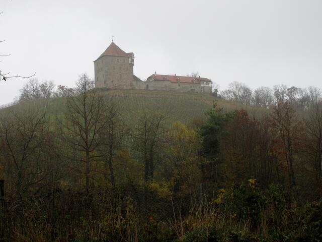 Kurz nach Vohenlohe traf man unterhalb der Burg Wildeck bekannte Wanderer der Ortsgruppe des Weinsberger Schwäbischen Albvereins