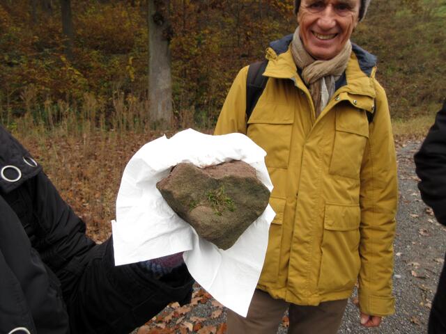 Lisa hat ein Herz gefunden. Auch Damen sind bei den Freunden des Waldes aktiv und bringen manche Idee ein, die dann gemeinsam umgesetzt wird. Aber sie packen auch ordentlich zu, wenn ein Weg gepflegt werden muss.