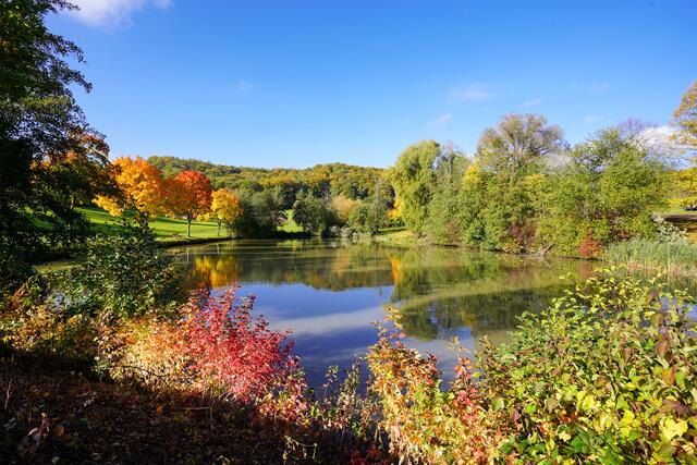 Goldener Oktober am Lennacher See
