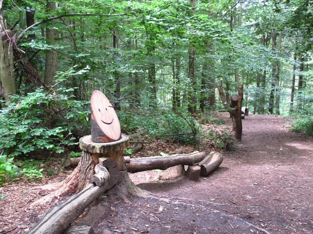 Archivbild: Die Naturkugelbahn im Heilbronner Stadtwald gehört zum Walderlebnispfad und wurde vollständig von den Freunden des Waldes ehrenamtlich erbaut. Sie ist DIE Attraktion und wird von den Kindern sehr geliebt.