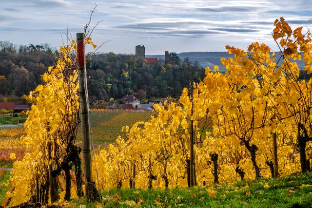 Bei Neipperg