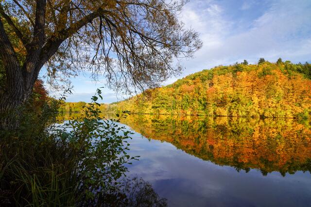 Goldener Oktober am Michelbacher See bei Zaberfeld