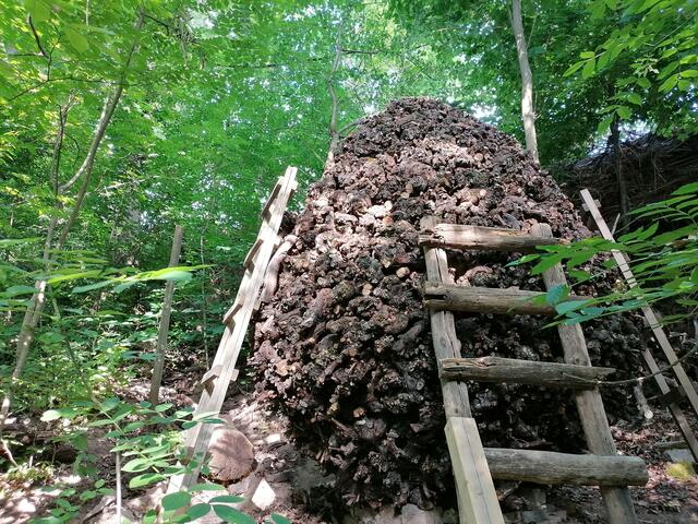 Je höher das Kunstwerk wird, desto mühevoller muss gearbeitet werden, Arbeiten über Schulterhöhe sind sehr anstrengend. Und wenn man das alles weiß, ist es erstaunlich, dass das Werk doch "nur" 200 Arbeitsstunden in Anspruch genommen hat. Klaus hat von März bis Juni 2020 daran gearbeitet. | Foto: Klaus Waldbüßer