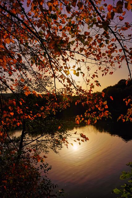 Abendstimmung am Katzenbachsee