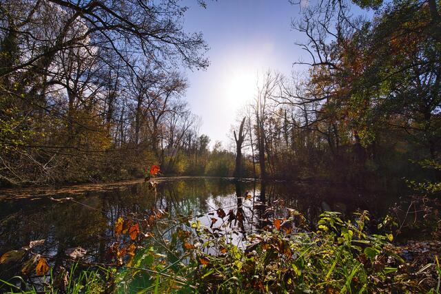 Sonniger Novembertag am Seeloch in Lauffen