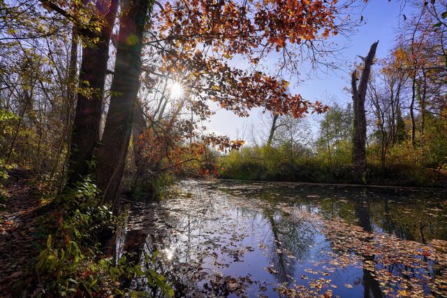 Sonniger Herbsttag am Seeloch in Lauffen