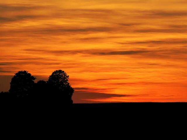 Abendgold