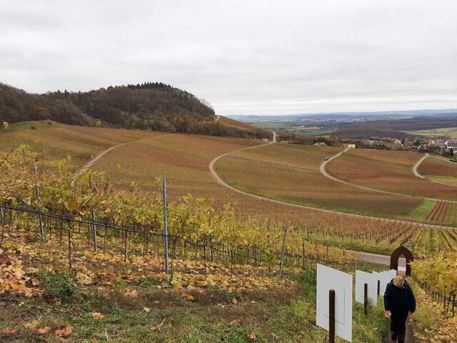 mit prächtiger Aussicht