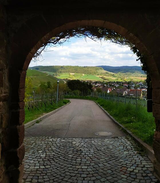 Das Tor zur Aussicht. Wohin blickt man denn da? Dann weiß man auch, wohin das Tor gehört.....