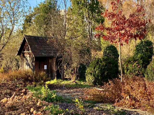 Herbststimmung im Botanischen Obstgarten