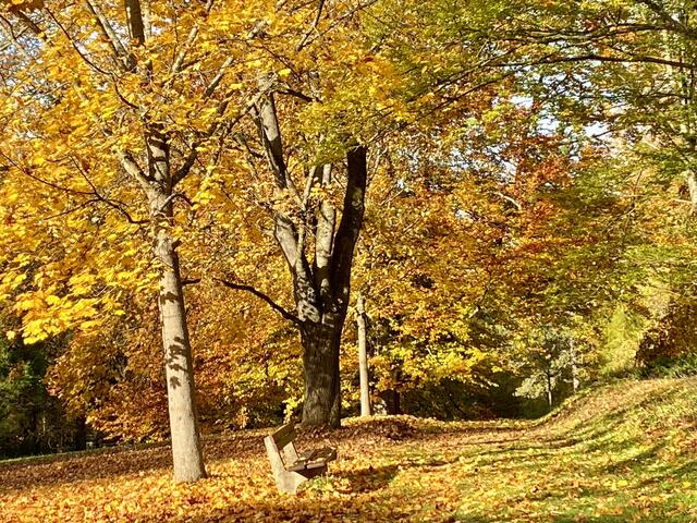 Goldener Oktober