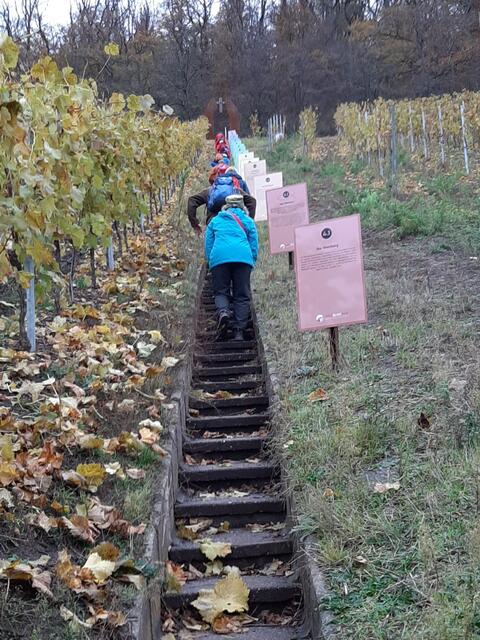 über 140 Stufen ging es hoch