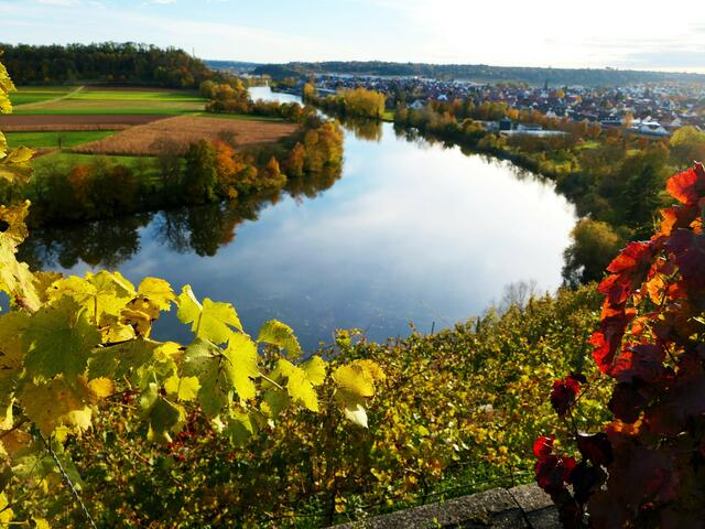 Neckarschleife in Kirchheim