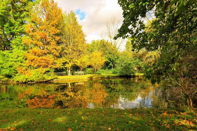 Teich in Neckarsulm