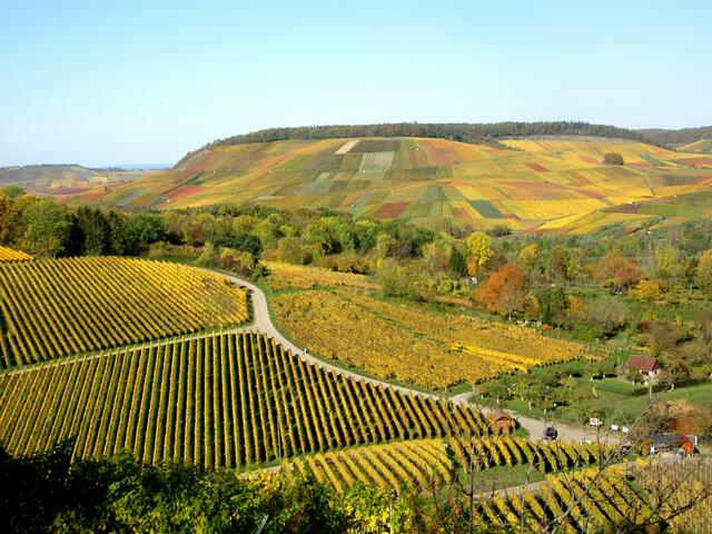 Goldener Herbst