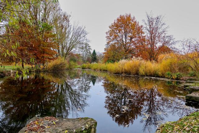 Herbst am Teich im Wertwiesenpark