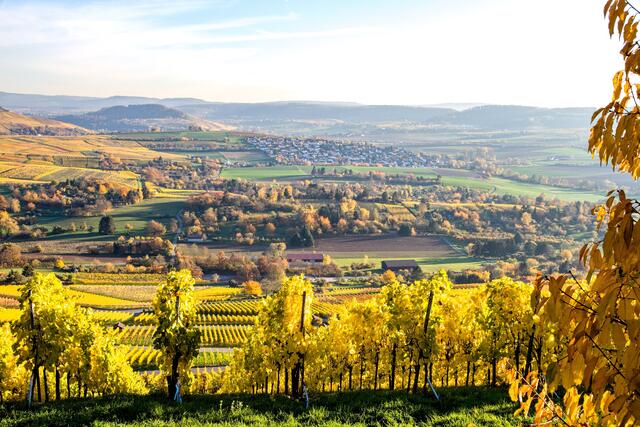 Blick vom Scheuerberg Richtung Erlenbach-Binswangen