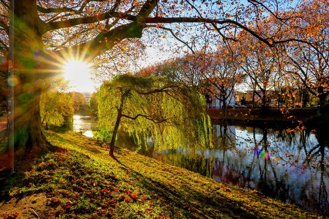 Heilbronn am Neckar