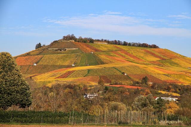 Herbstfarben am Scheuerberg in Neckarsulm