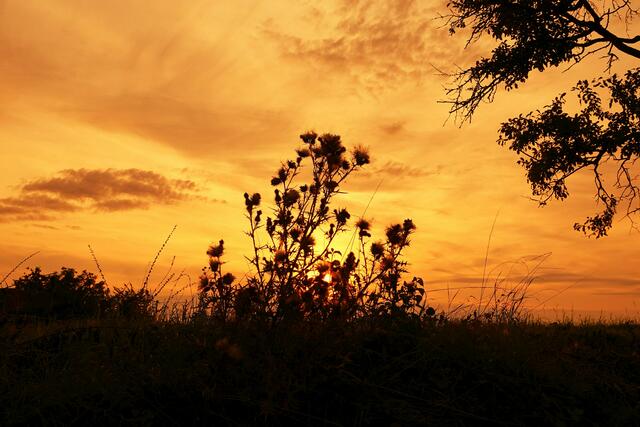 Vergoldeter Abendhimmel