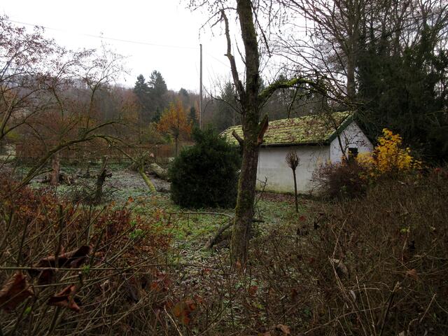 Obwohl es zu Beginn noch recht trüb war, ungewöhnlich hell ist es geworden um dieses Wochenendhaus im Köpfertal. Hinten ist zu sehen, dass ein Baum gefällt wurde.