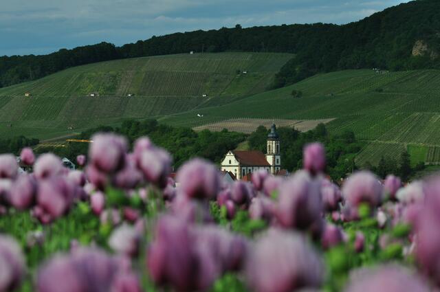 St. Martinus Kirche, Erlenbach