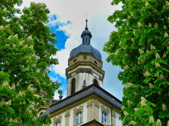 Kastanienblüte im Kloster Schöntal