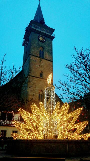 Stiftskirche Öhringen