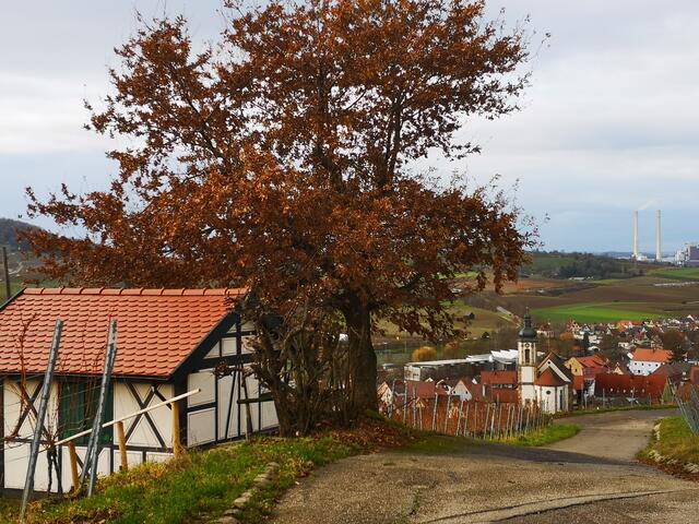 Blick auf Sankt Martinus Erlenbach