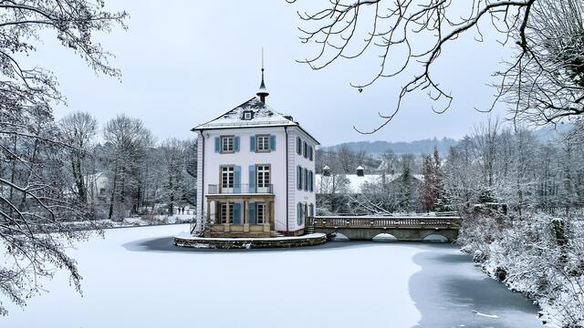 Bild des Monats Unterland im Januar 2021: "Winter am Trappensee und im Köpfertal" von Heimatreporter Volker W. Lang. | Foto: Volker W. Lang