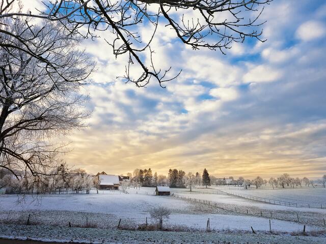 Bild des Monats Hohenlohe im Januar 2021: "Die letzten Schneefälle haben die Natur in eine wunderschöne Schneelandschaft verzaubert" von Heimatreporter Rüdiger Reingräber. | Foto: Rüdiger Reingräber