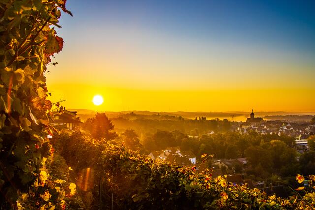 Bild des Monats Unterland im Oktober 2021: "Sonnenaufgang in Lauffen am Neckar" von Heimatreporter Hansjörg Sept. | Foto: Hansjörg Sept