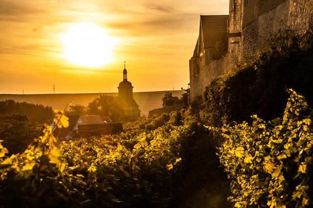 Regiswindskirche in Lauffen am Neckar im Sonnenuntergang