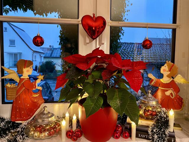 Mein Weihnachtsfenster