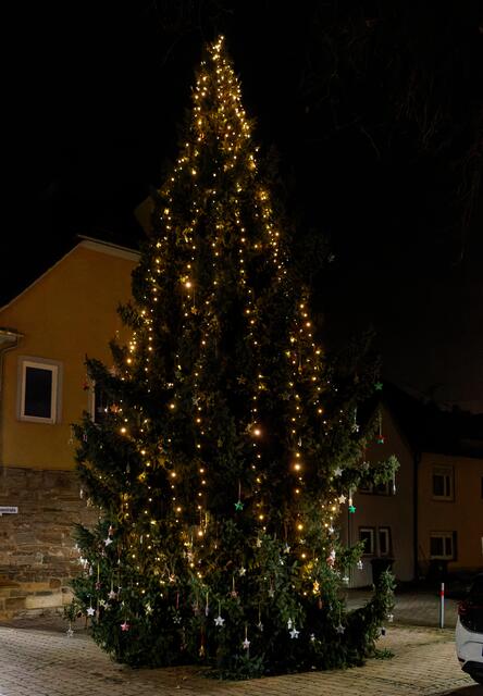 Der Horkheimer Weihnachtsbaum