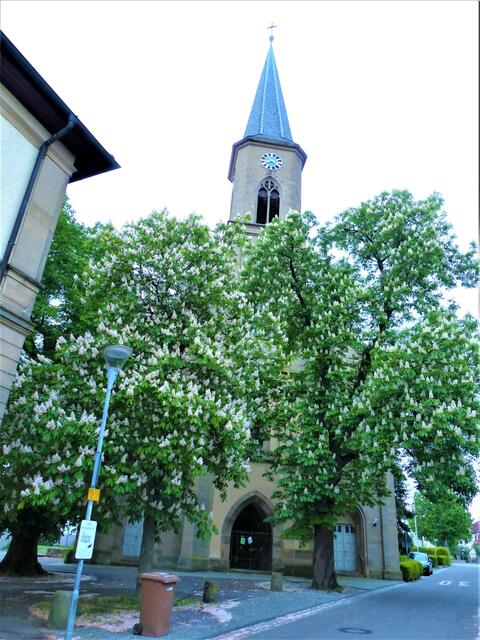 Gemminger Kirche im Frühlingskleid