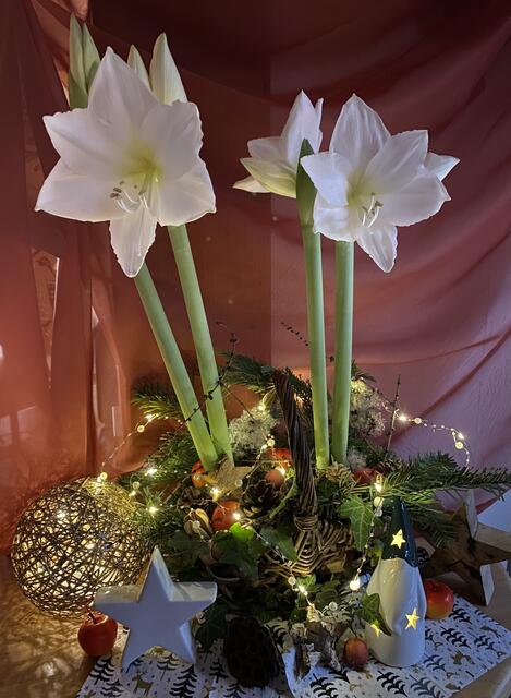 Weihnachtskörbchen