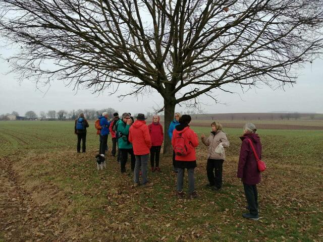 Erste kurze Pause