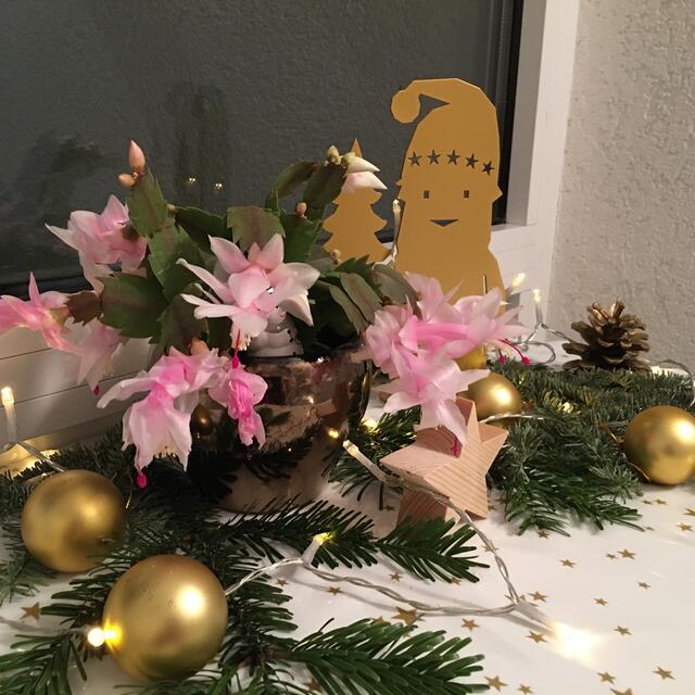 Der Weihnachtskarl begrüßt uns am Eingang