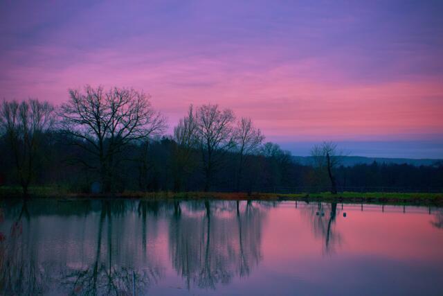 Bild des Monats Hohenlohe im Dezember 2021: "Abenddämmerung am See Hermersberg" von Heimatreporter Michael Becker. | Foto: Michael Becker