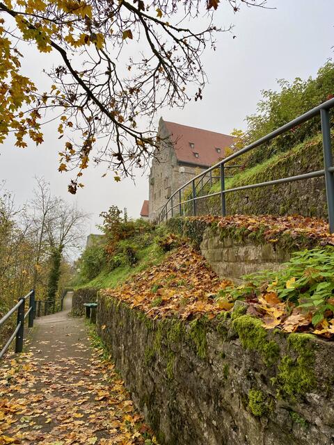 Bad Wimpfen