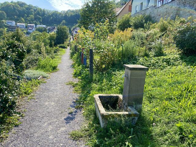 Löwenstein