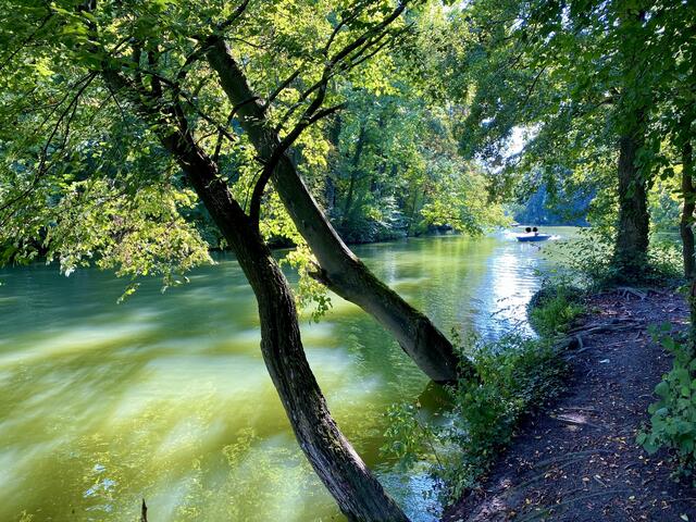 Monrepos Ludwigsburg